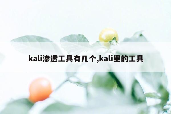 kali渗透工具有几个,kali里的工具