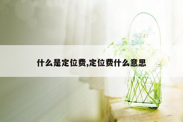 什么是定位费,定位费什么意思