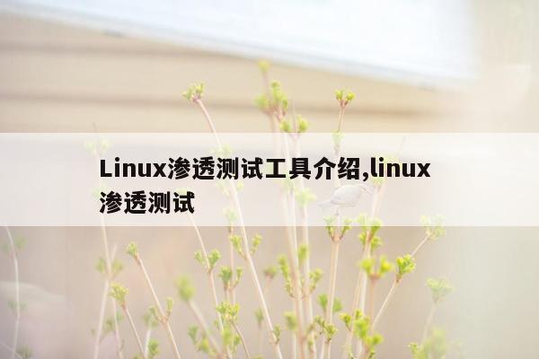 Linux渗透测试工具介绍,linux 渗透测试