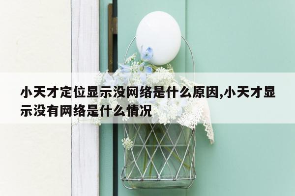 小天才定位显示没网络是什么原因,小天才显示没有网络是什么情况