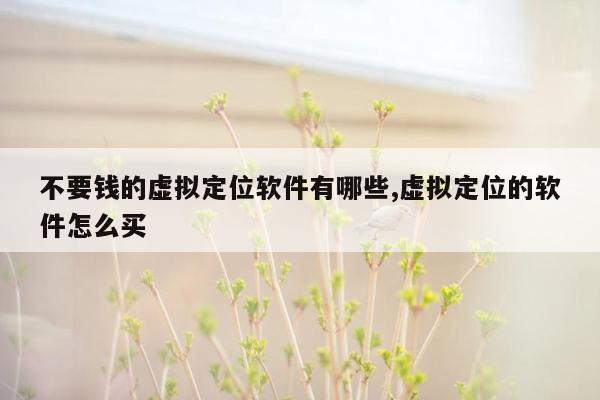 不要钱的虚拟定位软件有哪些,虚拟定位的软件怎么买