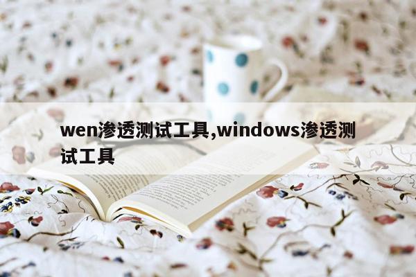 wen渗透测试工具,windows渗透测试工具