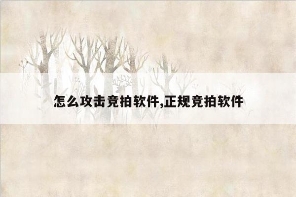 怎么攻击竞拍软件,正规竞拍软件