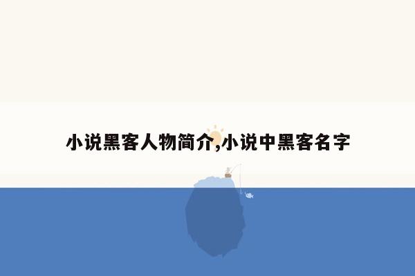 小说黑客人物简介,小说中黑客名字