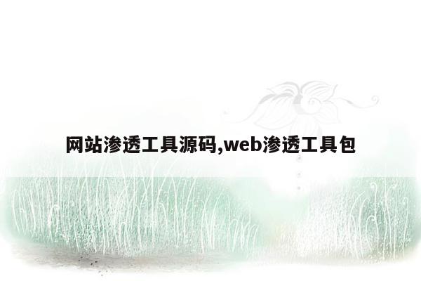 网站渗透工具源码,web渗透工具包