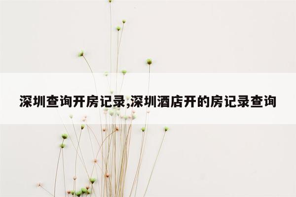 深圳查询开房记录,深圳酒店开的房记录查询