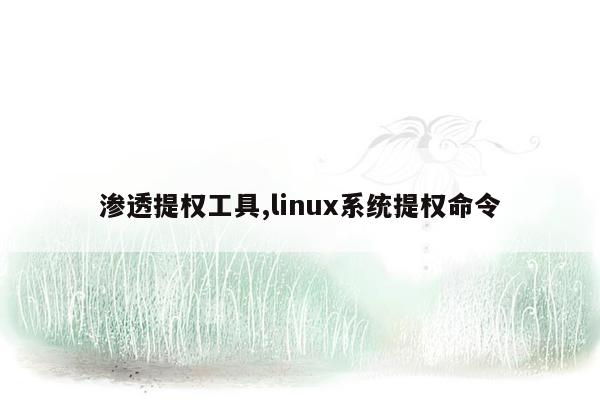 渗透提权工具,linux系统提权命令