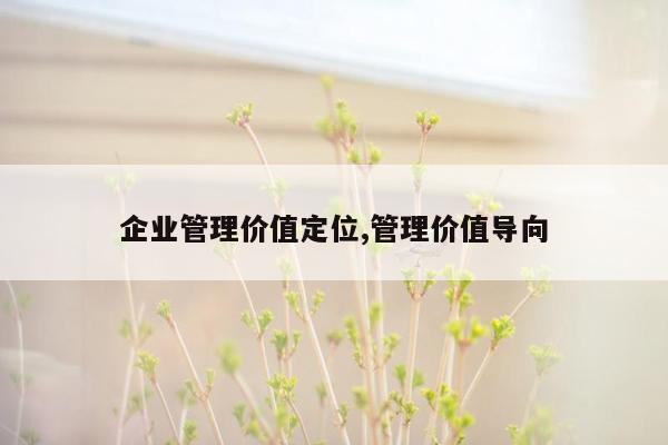 企业管理价值定位,管理价值导向