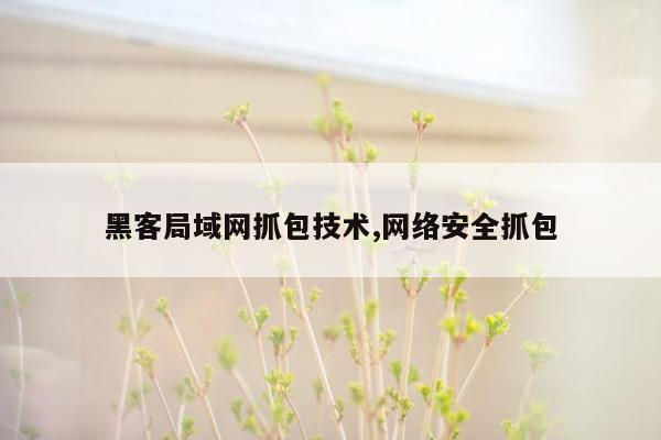 黑客局域网抓包技术,网络安全抓包