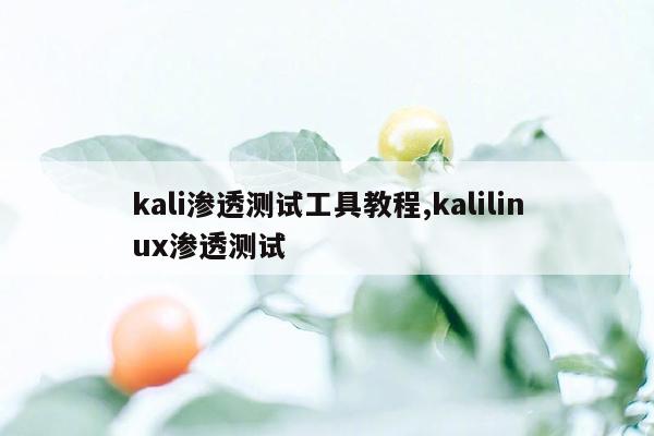 kali渗透测试工具教程,kalilinux渗透测试