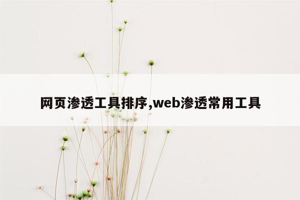 网页渗透工具排序,web渗透常用工具