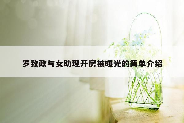 罗致政与女助理开房被曝光的简单介绍