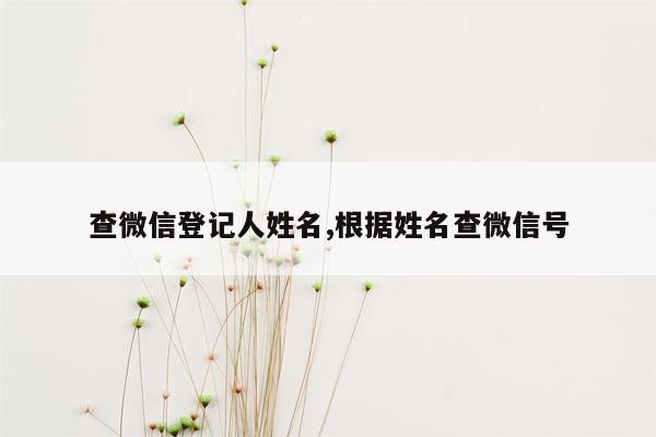 查微信登记人姓名,根据姓名查微信号