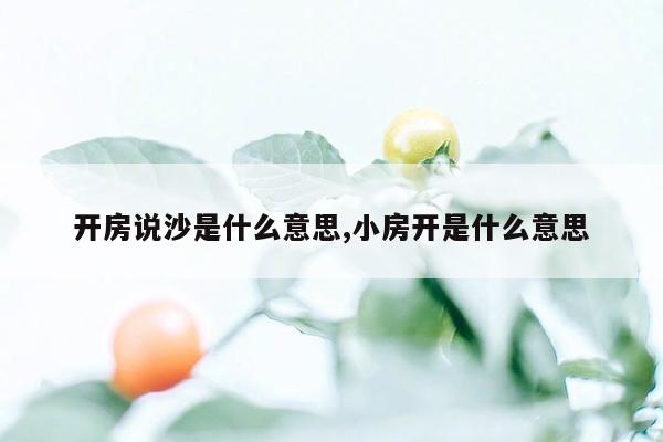 开房说沙是什么意思,小房开是什么意思