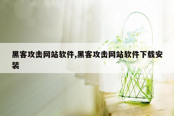 黑客攻击网站软件,黑客攻击网站软件下载安装