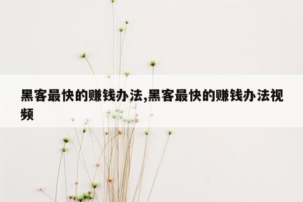 黑客最快的赚钱办法,黑客最快的赚钱办法视频