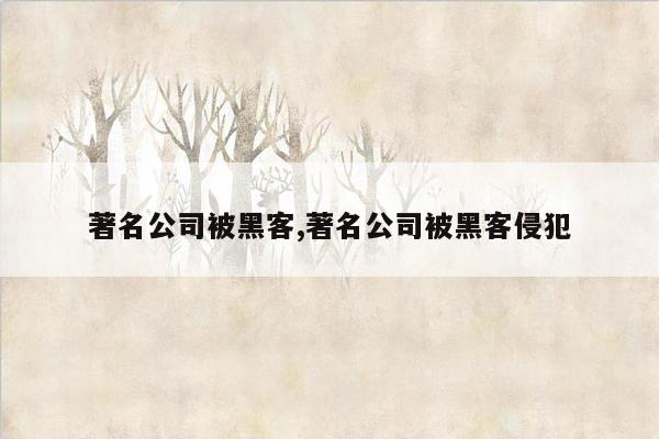 著名公司被黑客,著名公司被黑客侵犯