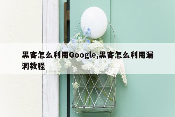 黑客怎么利用Google,黑客怎么利用漏洞教程