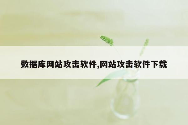 数据库网站攻击软件,网站攻击软件下载