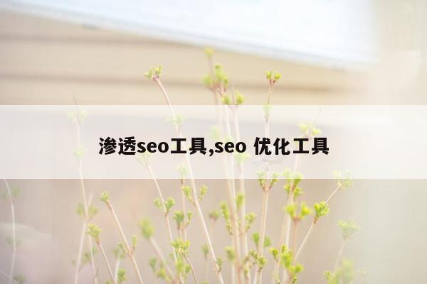 渗透seo工具,seo 优化工具