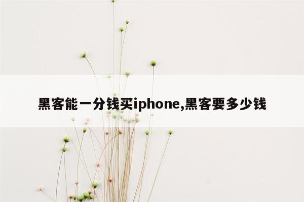 黑客能一分钱买iphone,黑客要多少钱