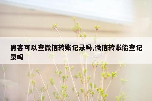 黑客可以查微信转账记录吗,微信转账能查记录吗