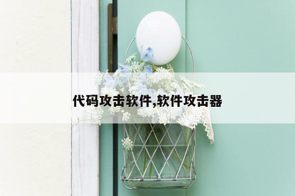 代码攻击软件,软件攻击器