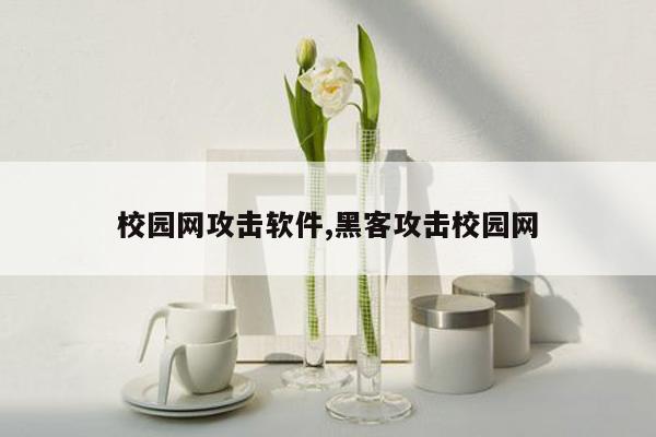 校园网攻击软件,黑客攻击校园网