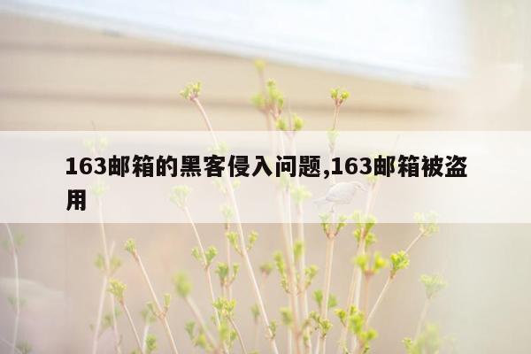 163邮箱的黑客侵入问题,163邮箱被盗用