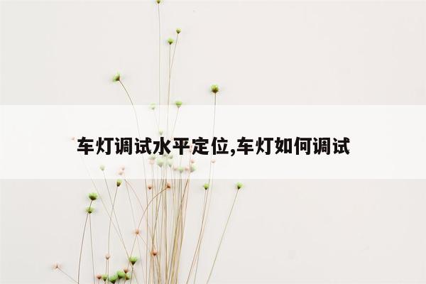 车灯调试水平定位,车灯如何调试