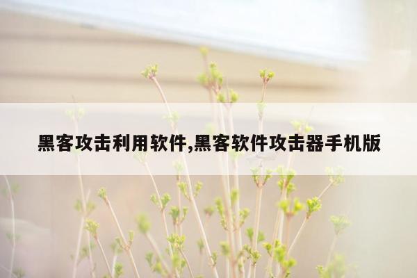 黑客攻击利用软件,黑客软件攻击器手机版