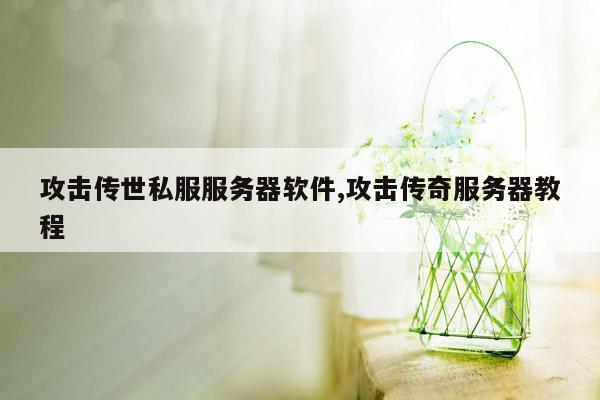 攻击传世私服服务器软件,攻击传奇服务器教程