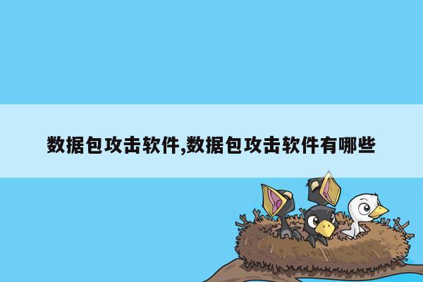 数据包攻击软件,数据包攻击软件有哪些