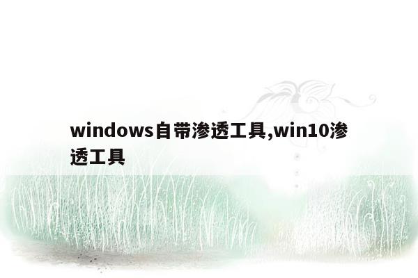 windows自带渗透工具,win10渗透工具