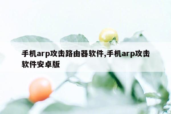 手机arp攻击路由器软件,手机arp攻击软件安卓版