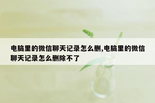 电脑里的微信聊天记录怎么删,电脑里的微信聊天记录怎么删除不了