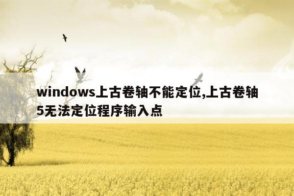 windows上古卷轴不能定位,上古卷轴5无法定位程序输入点