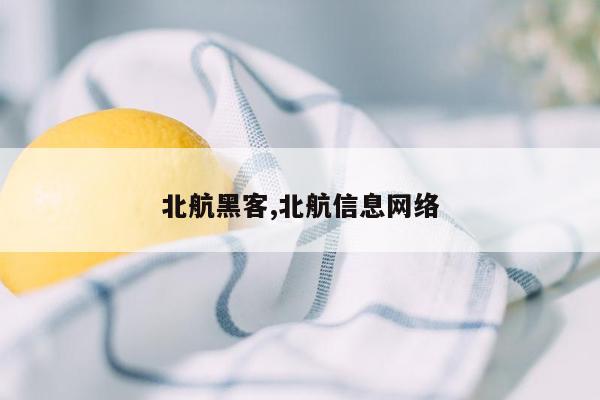 北航黑客,北航信息网络