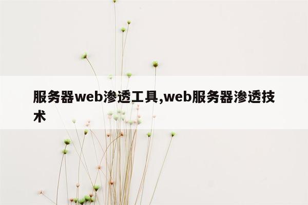 服务器web渗透工具,web服务器渗透技术