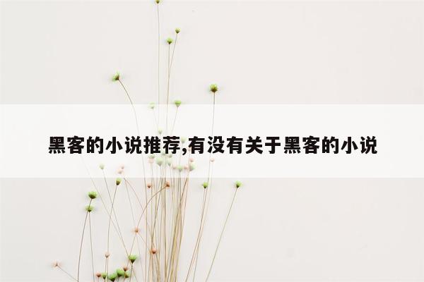 黑客的小说推荐,有没有关于黑客的小说