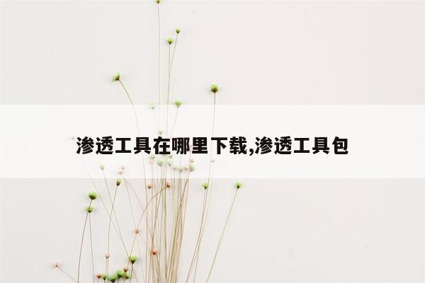 渗透工具在哪里下载,渗透工具包