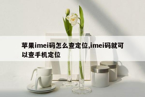 苹果imei码怎么查定位,imei码就可以查手机定位