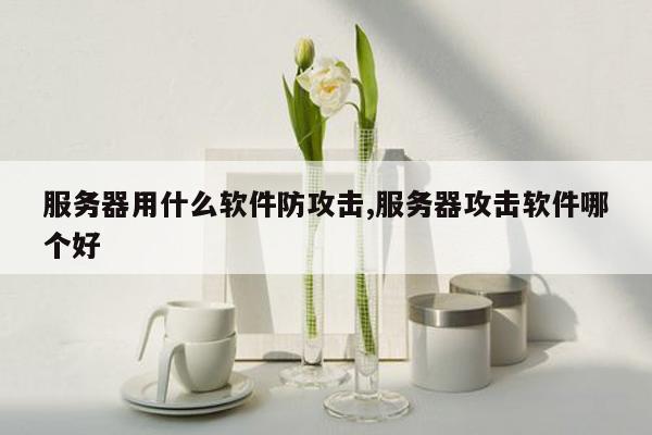 服务器用什么软件防攻击,服务器攻击软件哪个好