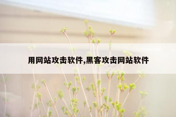 用网站攻击软件,黑客攻击网站软件