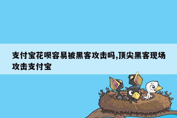 支付宝花呗容易被黑客攻击吗,顶尖黑客现场攻击支付宝