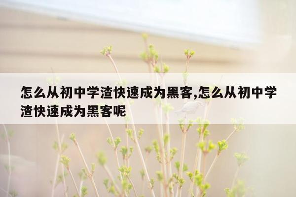 怎么从初中学渣快速成为黑客,怎么从初中学渣快速成为黑客呢