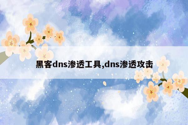 黑客dns渗透工具,dns渗透攻击