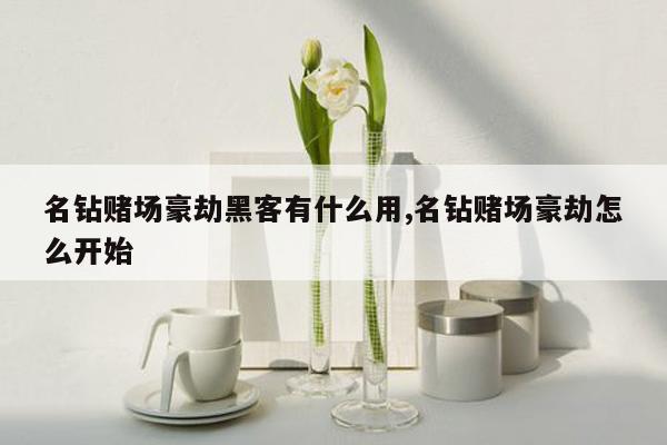 名钻赌场豪劫黑客有什么用,名钻赌场豪劫怎么开始