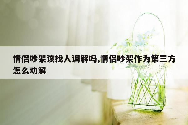 情侣吵架该找人调解吗,情侣吵架作为第三方怎么劝解