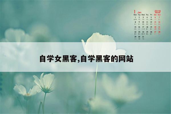 自学女黑客,自学黑客的网站